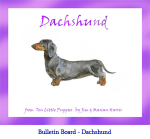 Bulletin board art of a Dachshund dog.  Art from the children’s counting book, Ten Little Puppies, illustrated by Jim Harris.